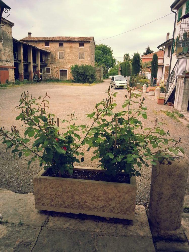 Albergo Mio Lazise Exteriör bild